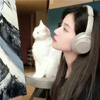 绑的不是人 封面