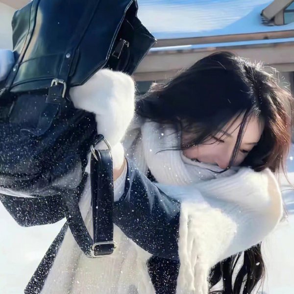 北辙南辕